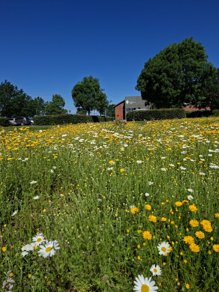 Ude sommer 2026